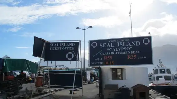 Departing from Cape Town, South Africa: Cape of Good Hope + Penguin Island 1-day tour (8–15 people small group)