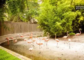 Zoo di Barcellona