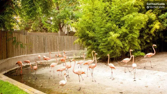 巴塞隆納動物園