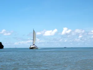 Île aux Cerfs