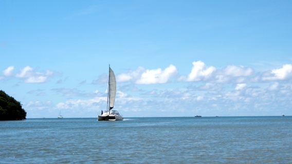 Маврикий: круиз на катамаране на остров Оленей [включая барбекю, 3 мероприятия|Трансфер от/до отеля