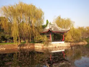 蠡園