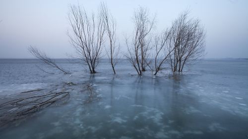 Guanting Reservoir