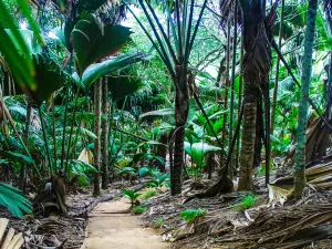 Riserva naturale Vallée de Mai