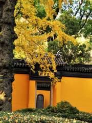 Baiyun Ancient Temple