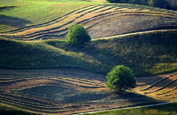 賽維特傑斯尼公寓