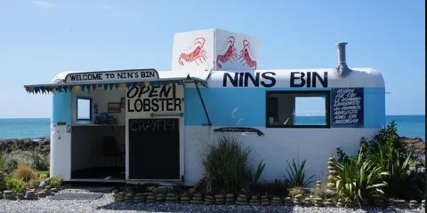 Nin's Bin