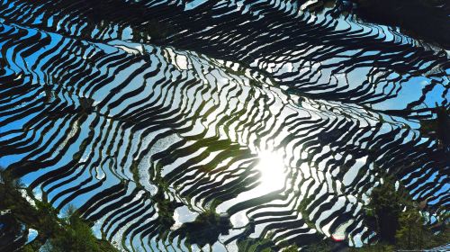 Honghe Hani Rice Terraces