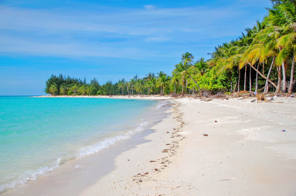 沙巴美人魚島浮潛+Kawa紅樹林一日遊 亞庇潛水螢火蟲長鼻猴