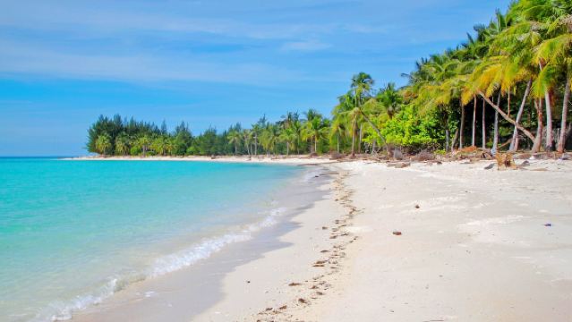 Lawatan sehari selam skuba di Pulau Mantanani + Kawa-kawa river cruise dan melihat kelip-kelip serta monyet proboscis di Kota Kinabalu