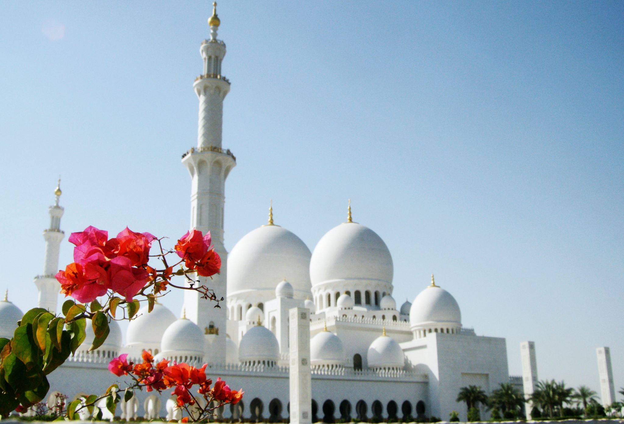 아랍에미리트 아부다비 셰이크 자예드 모스크 + 대통령궁 + 루브르 박물관 + 페라리 당일 치기 여행