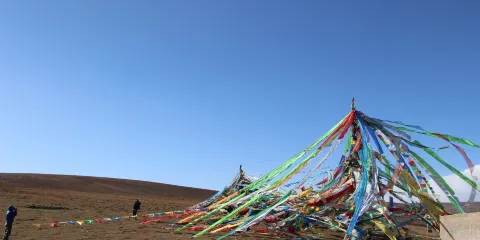 青海湖一日特色遊