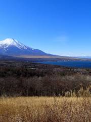 Nationalpark Fujihakoneizu