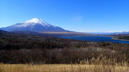 富士箱根伊豆国立公園