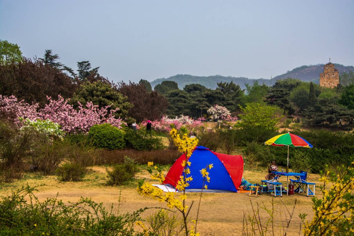北京植物園での楽しみ方と注意点