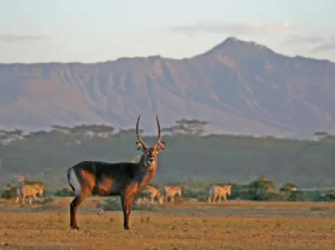 The Great Rift Valley View Point