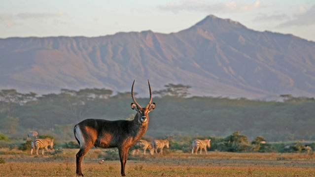 The Great Rift Valley View Point