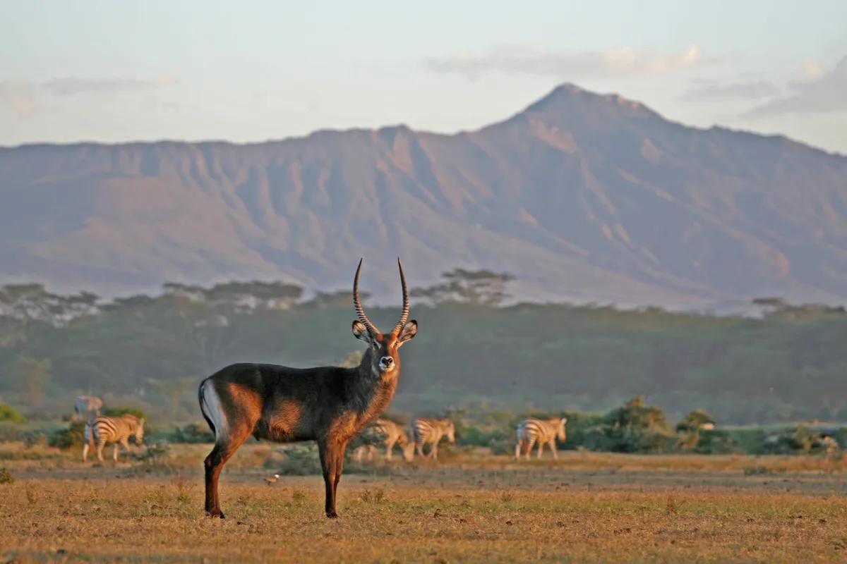 The Great Rift Valley View Point