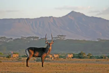 Восточно-Африканская рифтовая долина