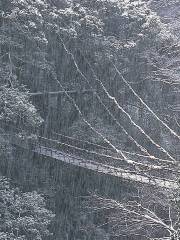 奧祖谷二重蔓橋