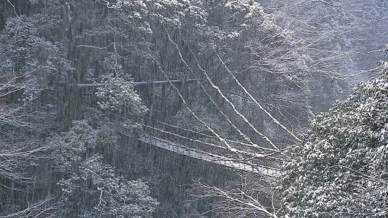 奧祖谷二重蔓橋