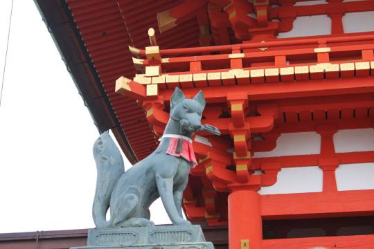 日本京都清水寺+奈良公園+伏見稻荷大社+東大寺+祇園一日遊