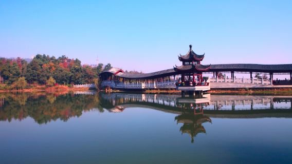 Dagelijks reizen naar Changsha: Yuelu Mountain, Yuelu Academy, Orange Island