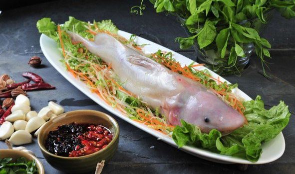 龙液酸汤乌鱼府(石柱店)