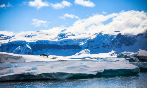 Cuverville Island