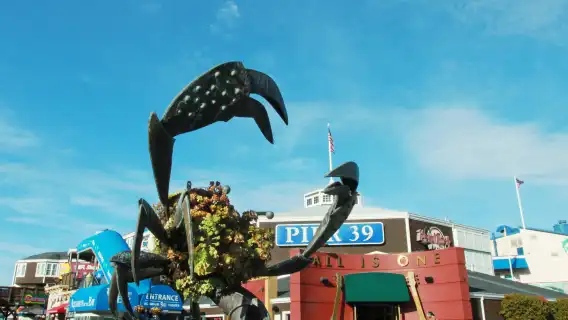 【加州一號公路】17裡灣風景線+卡梅爾小鎮+蒙特雷灣一日遊