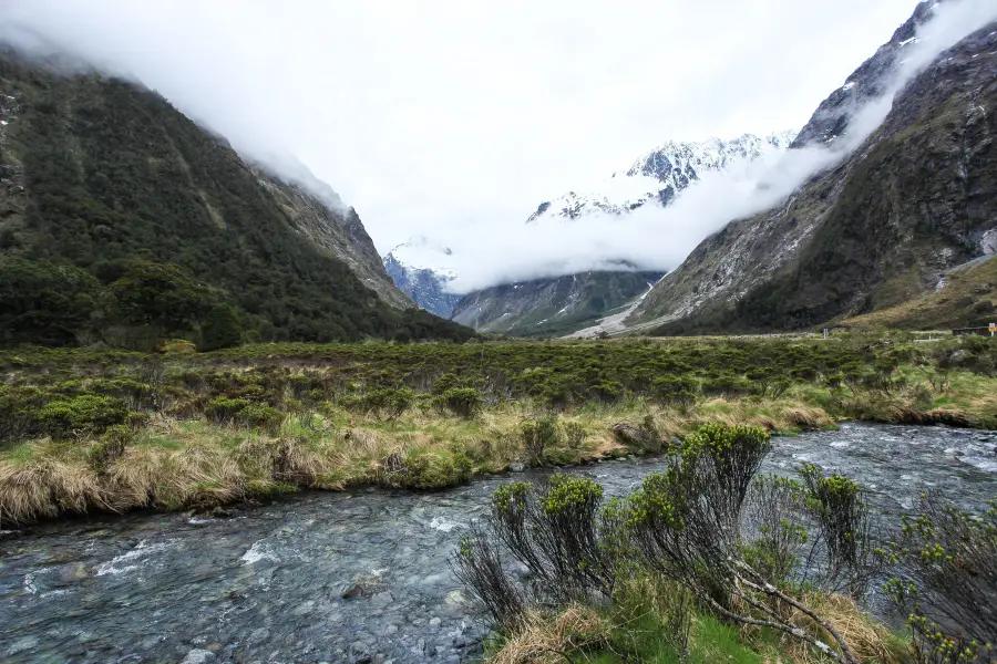 Milford Sound / Piopiotahi