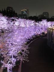 Colline di Roppongi