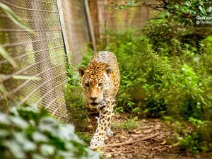 바르셀로나 동물원