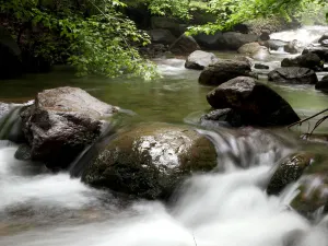 大奇山國家森林公園
