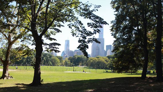 New York Citywalk Half-Day Tour