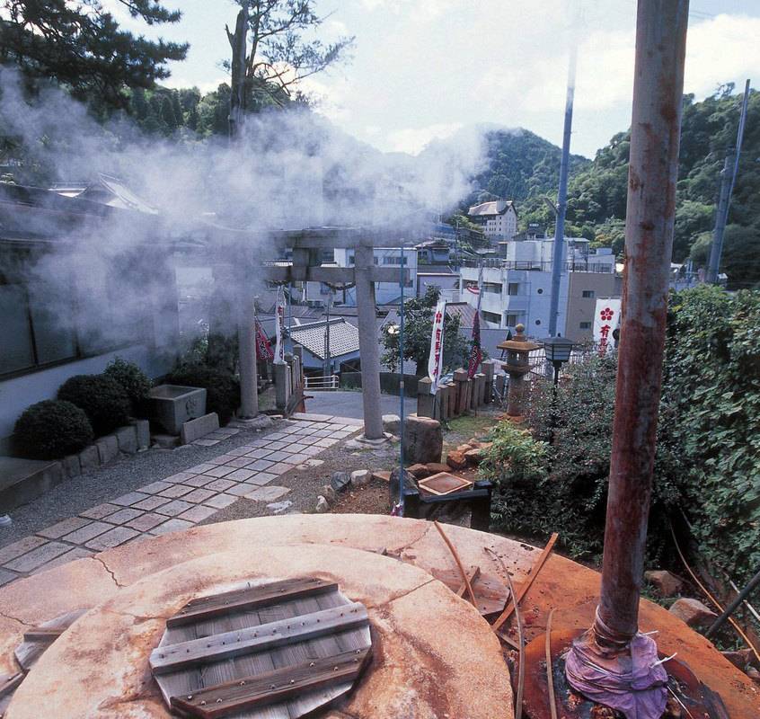 大阪市立長居植物園+大阪市立自然史博物館+住吉大社+住之江天然露天温泉一日遊