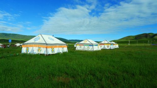 Jinyintan Grasslands