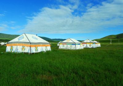 Jinyintan Grasslands