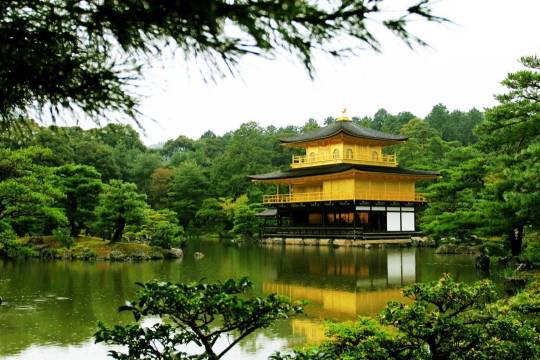 One-day trip to Kinkakuji Temple + Yasaka Shrine + Ryoanji Temple + Nijo Castle + Tofukuji Temple in Kyoto, Japan