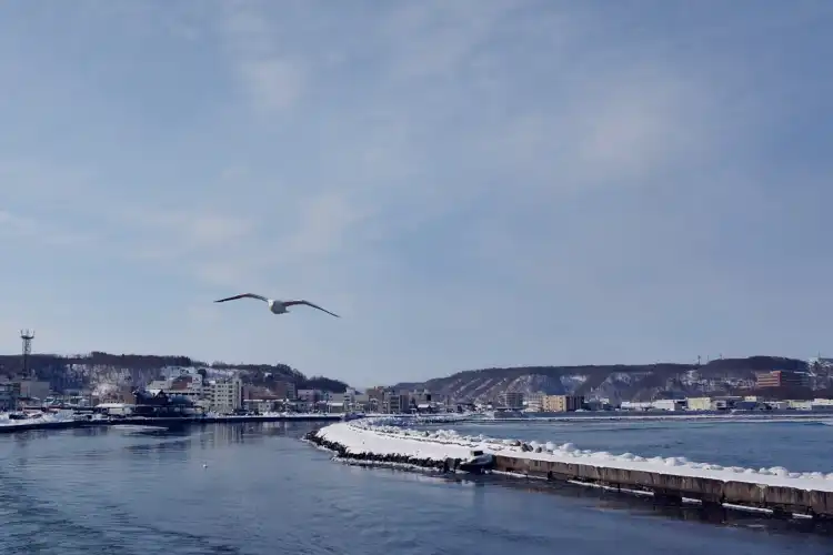 庁舎 (重要文化財)周辺のホテル