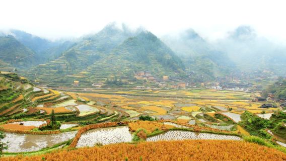 Private guided day tour from Guiyang to Xijiang Qianhu Miao Village, Miao original song and dance performance