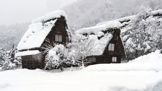 日本名古屋+高山市+白川鄉+高山陣屋+宮川朝市一日遊【普通話】