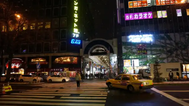 狸小路+大通公園+白**人公園+北海道大學一日遊【包車遊】