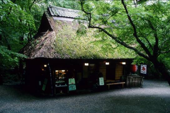Nara + Arashiyama One Day Tour