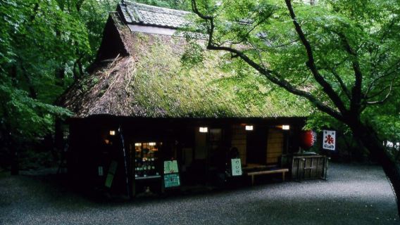 日本奈良公園+平等院一日遊【東大寺/源氏物語博物館】