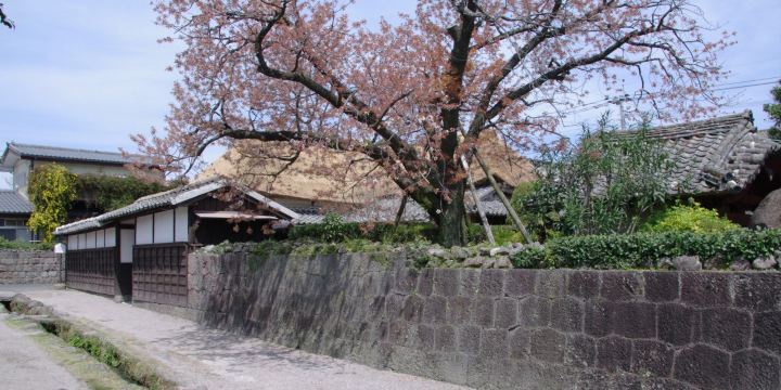 Shimabara Bukeyashiki (Samurai residence street)