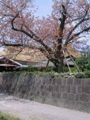 Samurai Houses