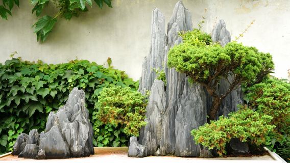 SuzhouTours