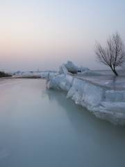 Guanting Reservoir