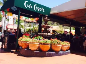 Cafe Coyote